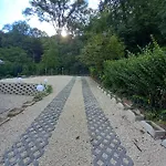 Mecsek Pécs