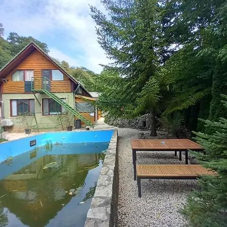 Mecsek Apartman *