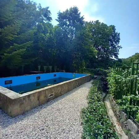Mecsek Pécs
