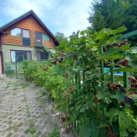Mecsek Apartman Pécs
