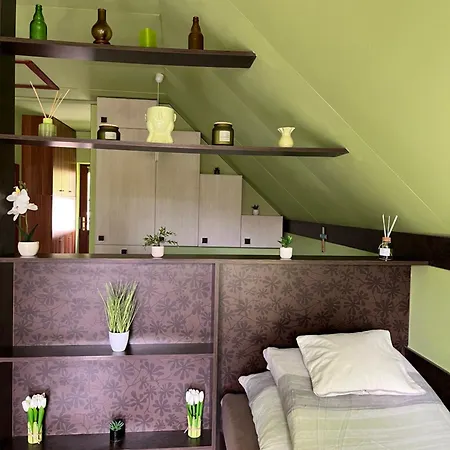 Mecsek Appartement *