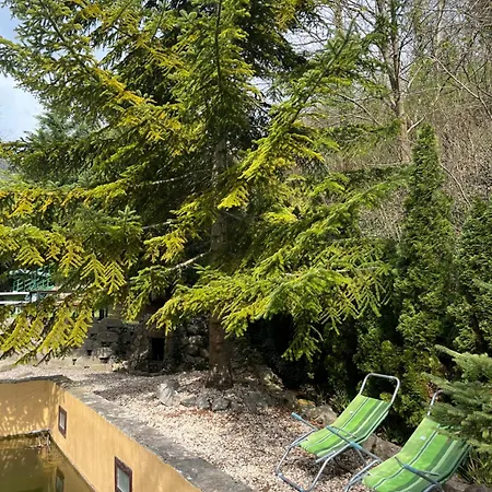 Mecsek Pécs