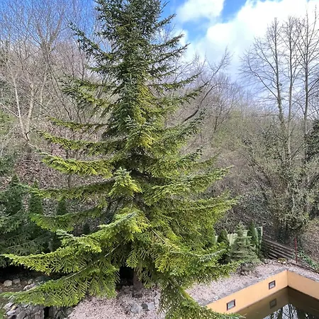 Mecsek Pécs