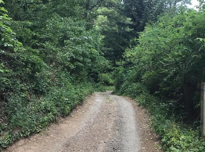 Apartamento Mecsek *