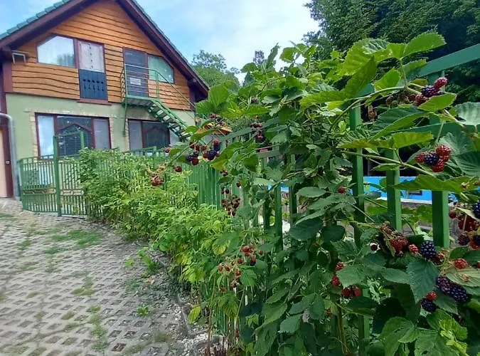 Mecsek Apartamento Pécs